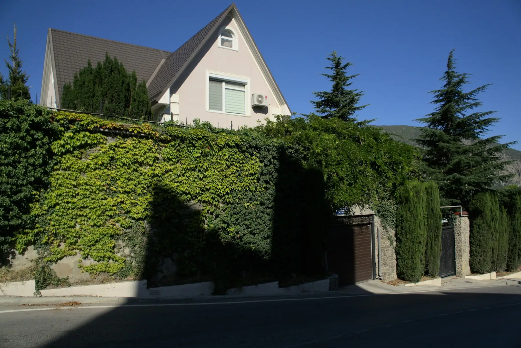 Mur et clôture recouverts de vigne vierge et de lierre